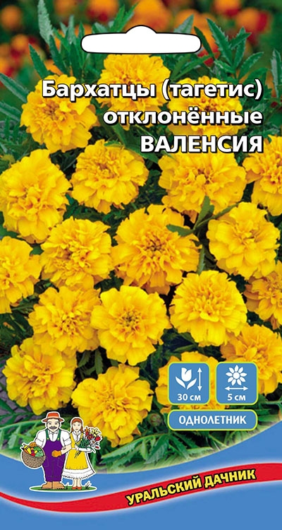 Семена Цветы Бархатцы отклоненные-Валенсия "Уральский Дачник" ц/п