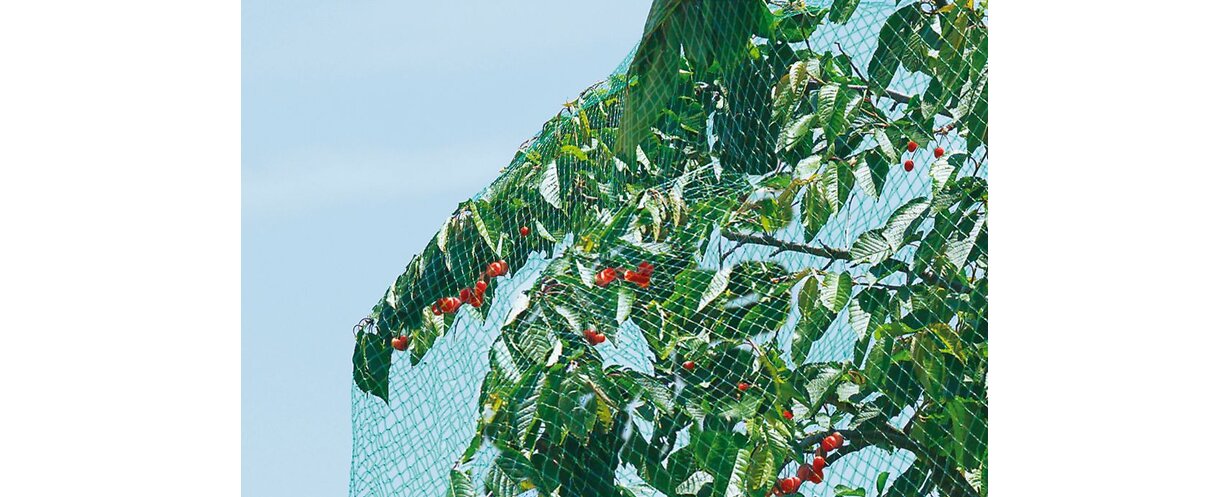 Сетка от птиц 2х5м 7х7