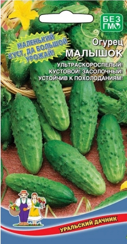 Семена Огурец Малышок"Уральский Дачник" ц/п