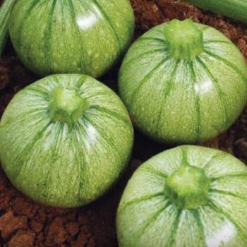 Семена Кабачок Мячик "Уральский Дачник" б/п