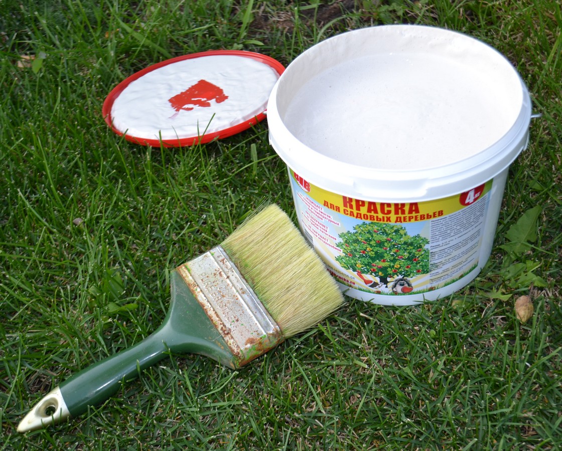 Краска для деревьев 4кг ВТВ