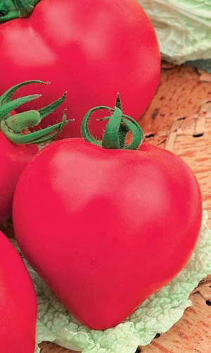 Семена Томат Розовое Сердце "Уральский Дачник" б/п