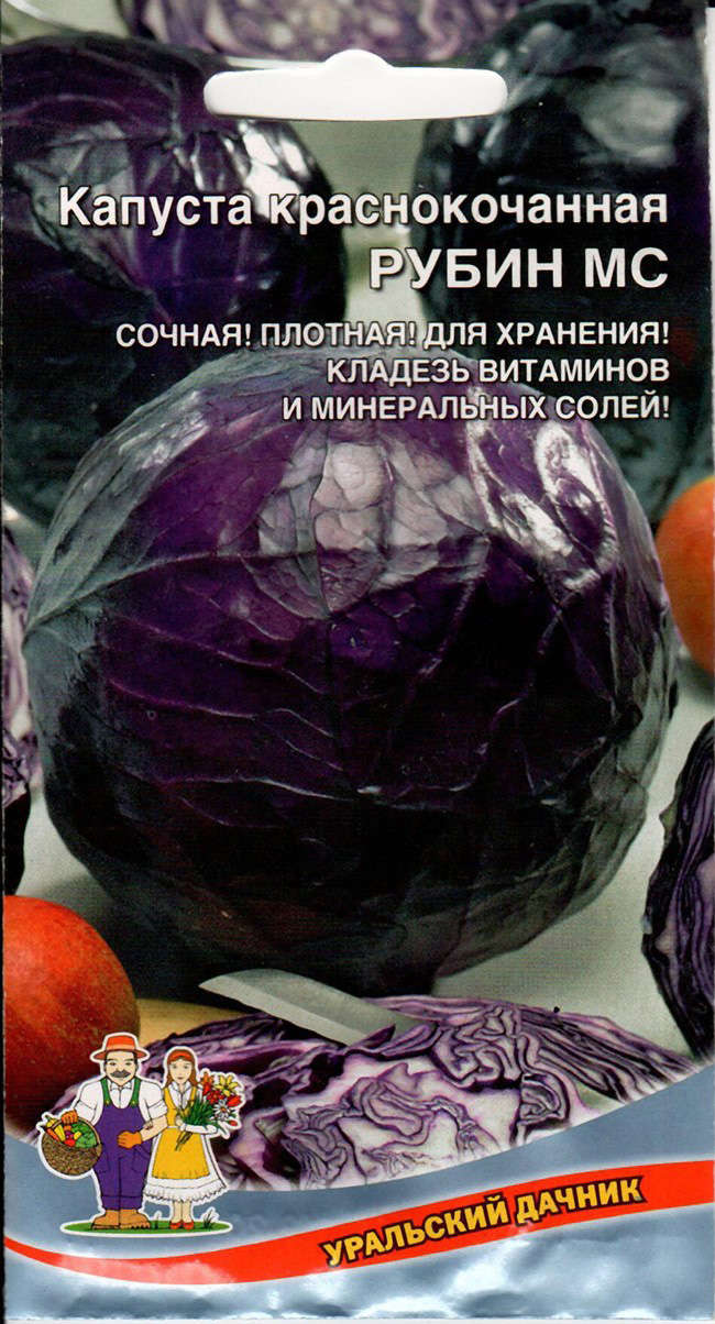 Семена Капуста краснокочанная Рубин МС "Уральский Дачник" б/п