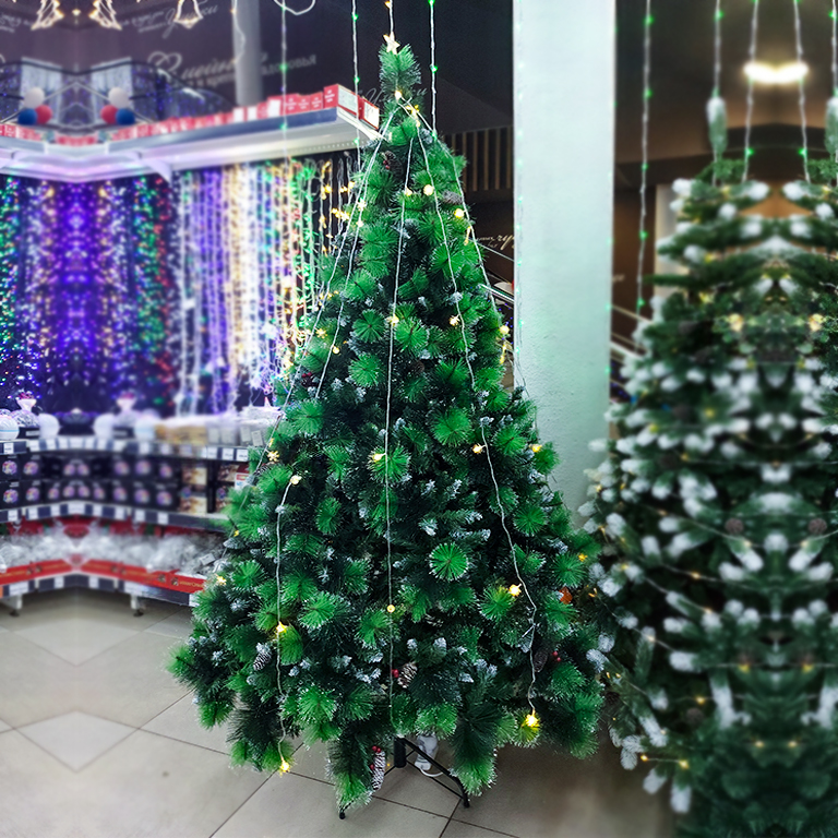 Сосна королевская 2,4м  Белые  кончики, шишки  (ерш и ПВХ)