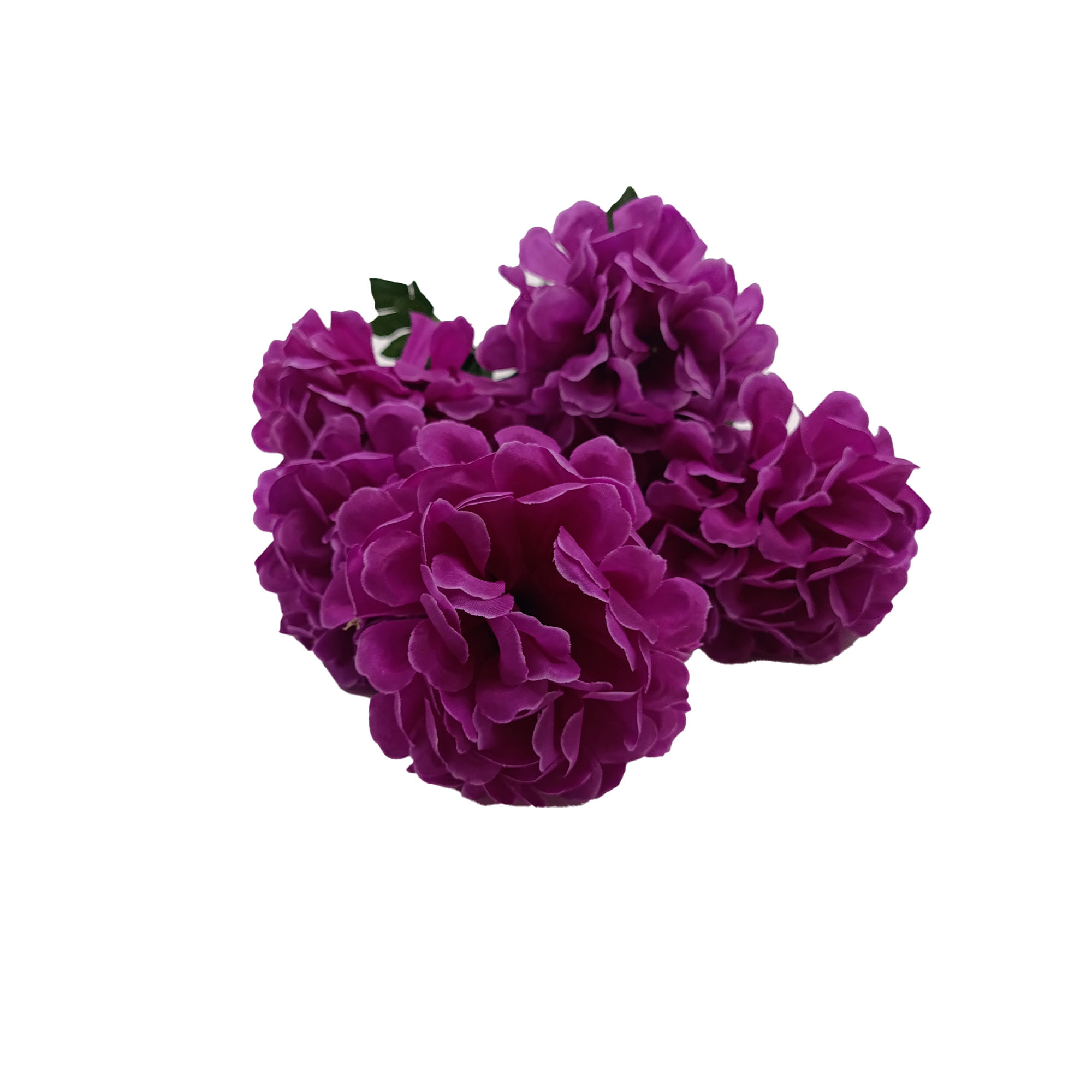 Букет Герань 6 голов