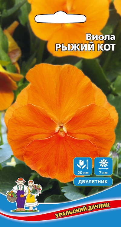 Семена Цветы Виола Рыжий Кот "Уральский Дачник" ц/п