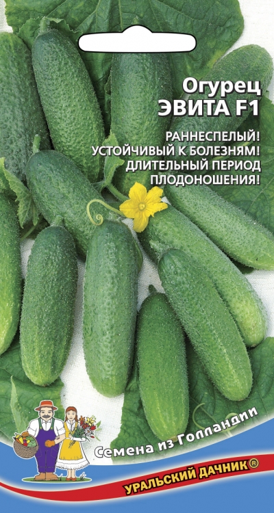 Семена Огурец Эвита F1 "Уральский Дачник" ц/п