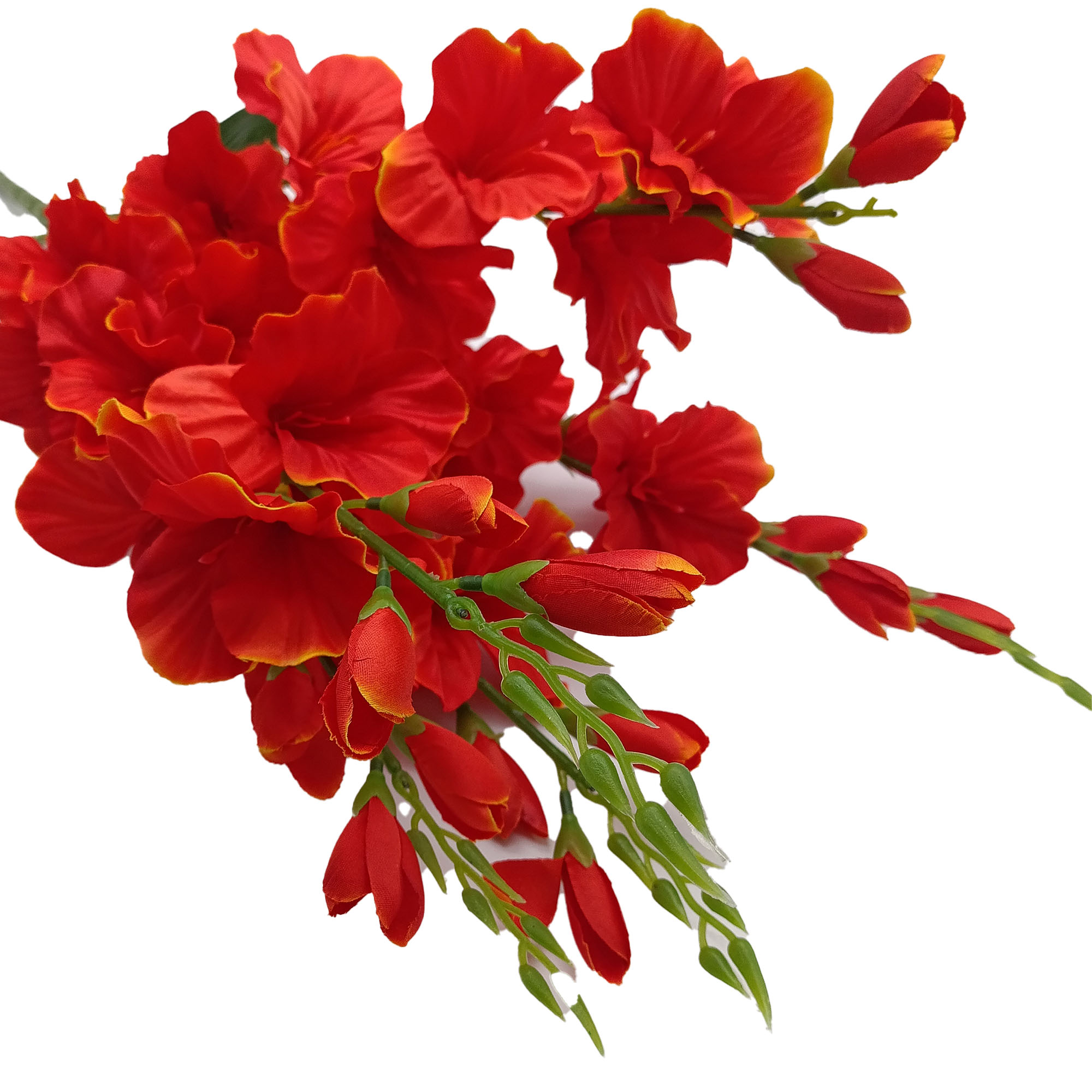 Букет Гладиолус