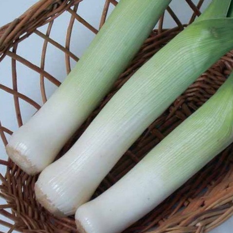 Семена Лук Порей Премьер "Уральский Дачник" б/п