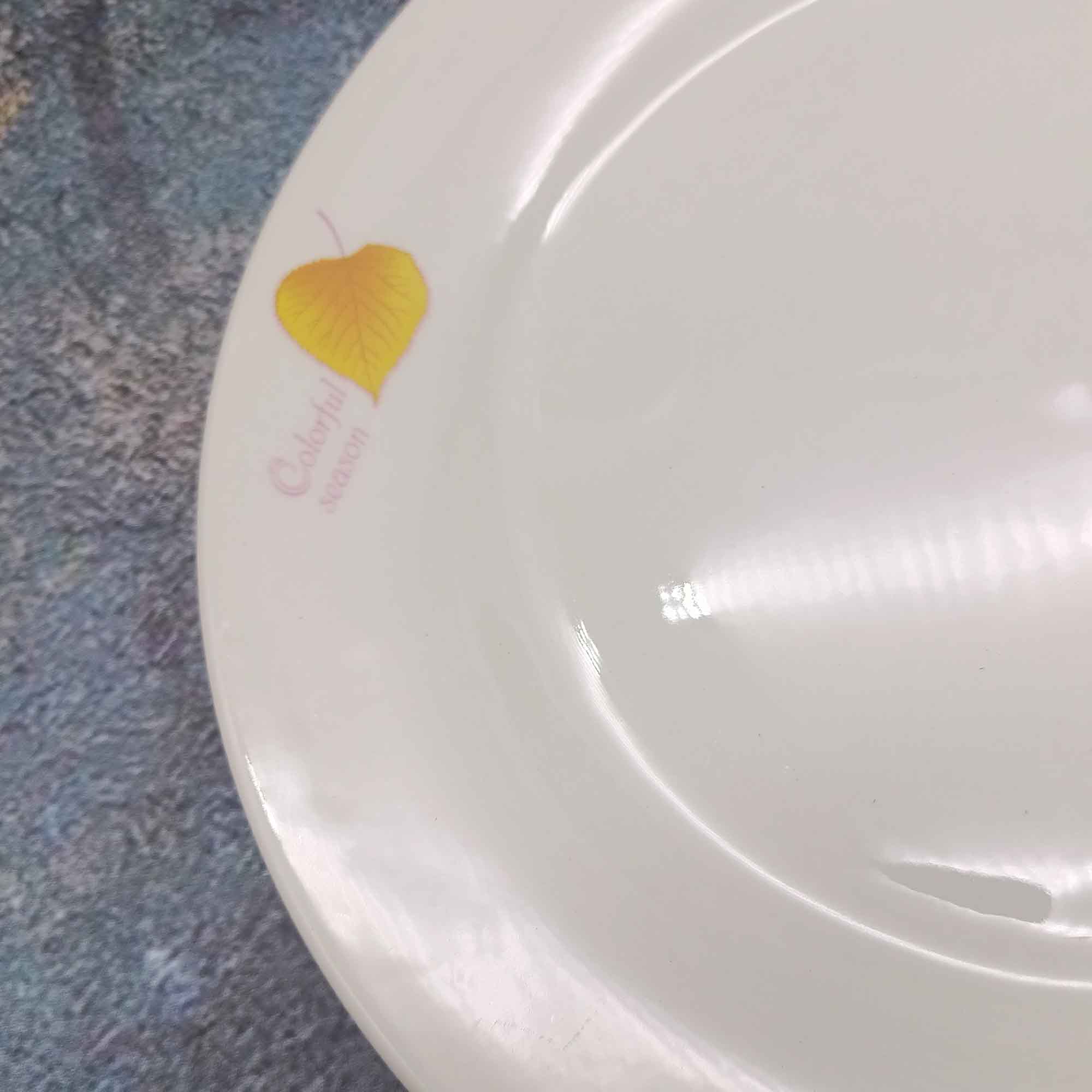 Тарелка 250мм круглая, белая с узором РД85165 цветные листья