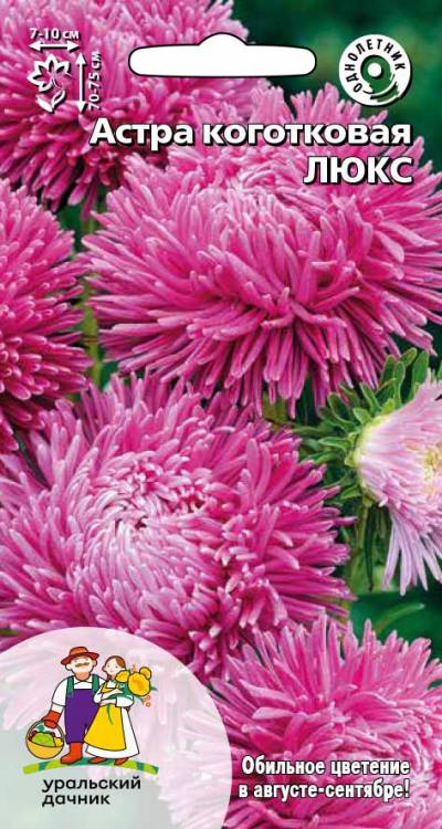Семена Цветы Астра коготковая Люкс "Уральский Дачник" ц/п