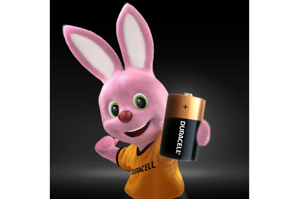 Батарейка Duracell LR 20  (2шт)