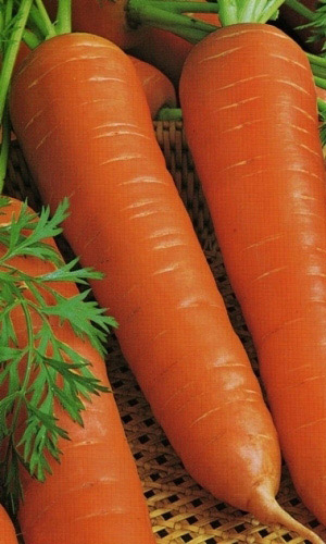 Семена Морковь Лосиноостровская 13 "Уральский Дачник" б/п