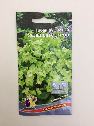 Семена Цветы Табак Душистый Зеленый остров "Уральский Дачник" ц/п