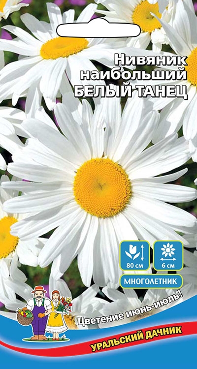 Семена Цветы Нивяник наибольший Белый танец "Уральский Дачник" ц/п