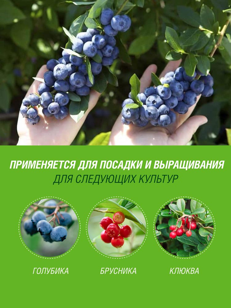 Грунт 25л для Голубики Брусники Клюквы Робин Грин прессованный