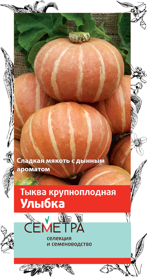 Семена Тыква крупноплодная Улыбка (Семетра) 3гр "Поиск" ц/п