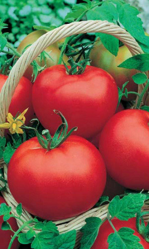 Семена Томат Москвич   "Уральский Дачник" б/п