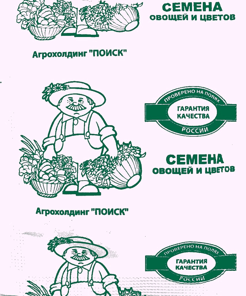 Семена Лук репчатый Даниловский 301 (ЧБ) 1гр. "Поиск" б/п