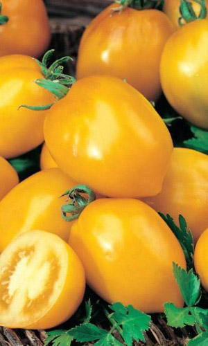 Семена Томат Де Барао Золотой  "Уральский Дачник" б/п