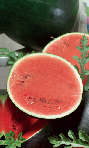 Семена Арбуз Триумф "Уральский Дачник" ц/п