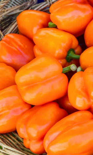 Семена Перец сладкий Мандариновый Куб "Уральский Дачник" б/п