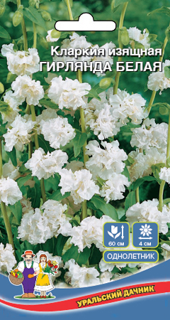 Семена Цветы Кларкия Гирлянда Белая "Уральский Дачник" ц/п