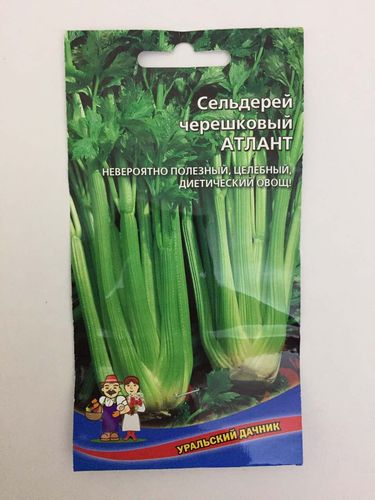 Семена Сельдерей черешковый Атлант "Уральский дачник" ц/п