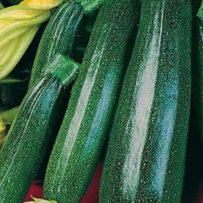 Семена Кабачок цуккини Фараон  Р "Уральский Дачник" б/п