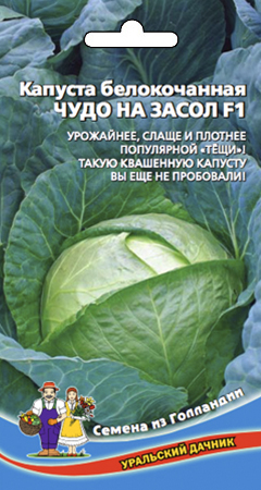 Семена Капуста Чудо на Засол F1 "Уральский Дачник" ц/п