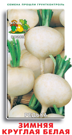 Семена Редька Зимняя круглая белая (ЦВ) 2гр. "Поиск" ц/п