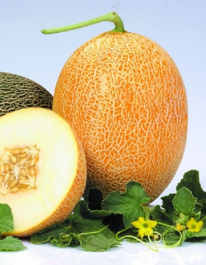 Семена Дыня Карамель F1 "Уральский Дачник" б/п