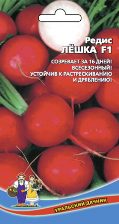 Семена Редис Лёшка F1 (очень ранний,крупный,округлый) "Уральский Дачник" ц/п