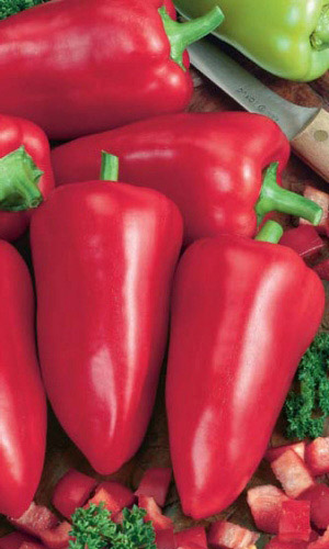 Семена Перец сладкий Винни-Пух   "Уральский Дачник" б/п