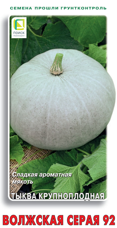 Семена Тыква крупноплодная Волжская серая 92 (Огородное изобилие) 2гр "Поиск" ц/п