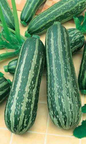 Семена Кабачок цуккини Зебра "Уральский Дачник" б/п