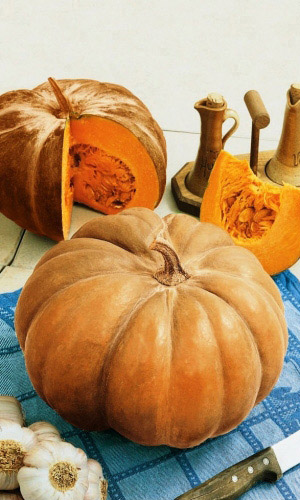 Семена Тыква мускатная Мускатная Прованская "Уральский Дачник" ц/п