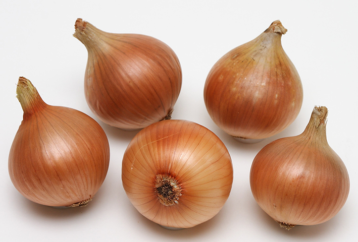 Семена Лук репчатый Ледокол "Уральский Дачник" б/п