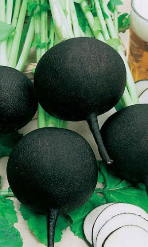 Семена Редька Зимняя Черная круглая "Уральский Дачник" б/п