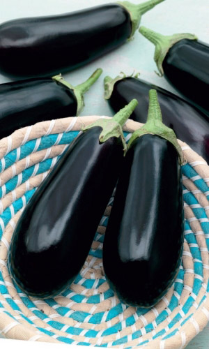 Семена Баклажан Боярин F1 "Уральский Дачник" б/п