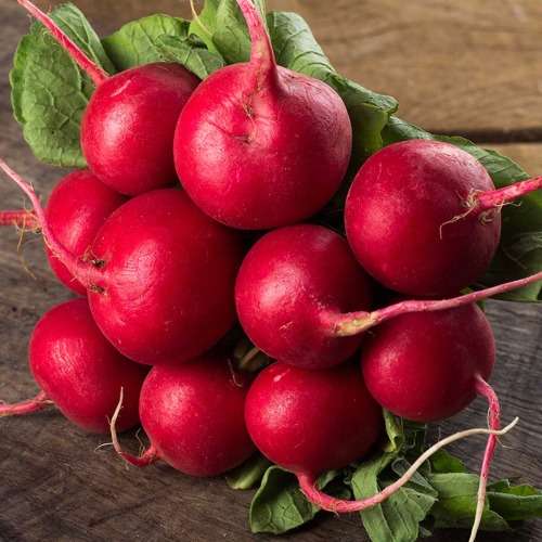 Семена Редис 18 дней "Уральский Дачник" б/п