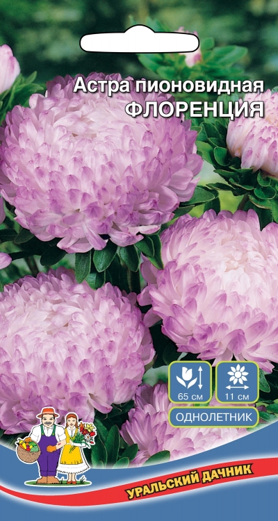 Семена Цветы Астра пионовидная Флоренция "Уральский Дачник" ц/п