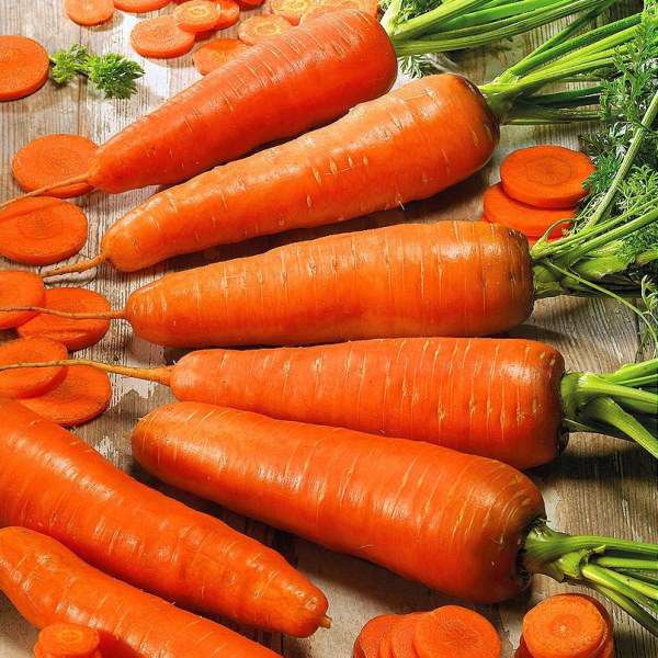 Семена Морковь Флакке   "Уральский Дачник" б/п