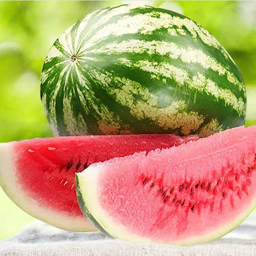 Семена Арбуз Волжанин "Уральский Дачник" ц/п