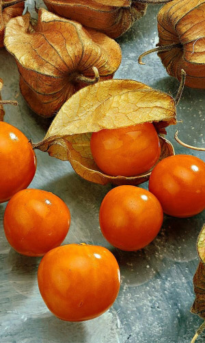 Семена Физалис десертный "Уральский Дачник" б/п