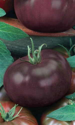 Семена Томат Жженый сахар /Карамель "Уральский Дачник" ц/п