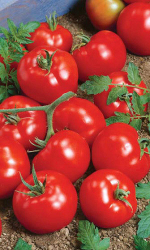 Семена Томат Ямал 200 "Уральский Дачник" б/п