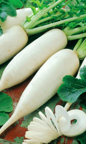 Семена Дайкон Миноваси "Уральский Дачник" ц/п