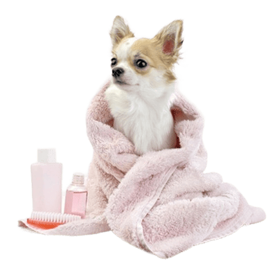 Прочие товары для животных