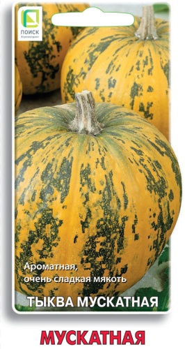 Семена Тыква мускатная Мускатная (ЦВ) 10шт. "Поиск" ц/п